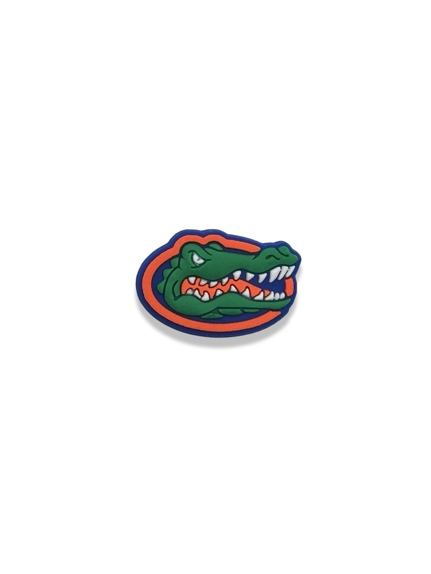 Collegiate Shoe Charm